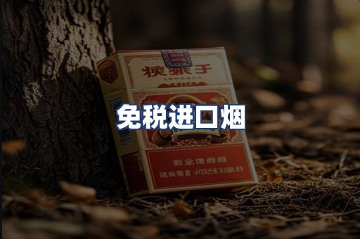 免税进口烟